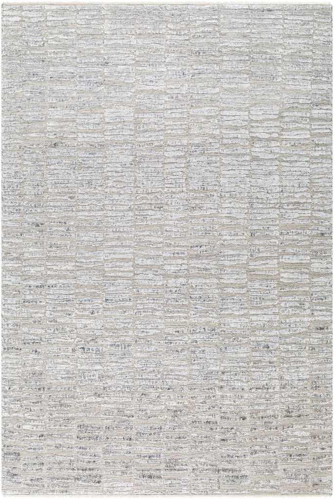 Surya Amina AMA-2300 Gray Light Beige 2' x 3' Rug