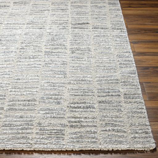 Surya Amina AMA-2300 Gray Light Beige 6' x 9' Rug