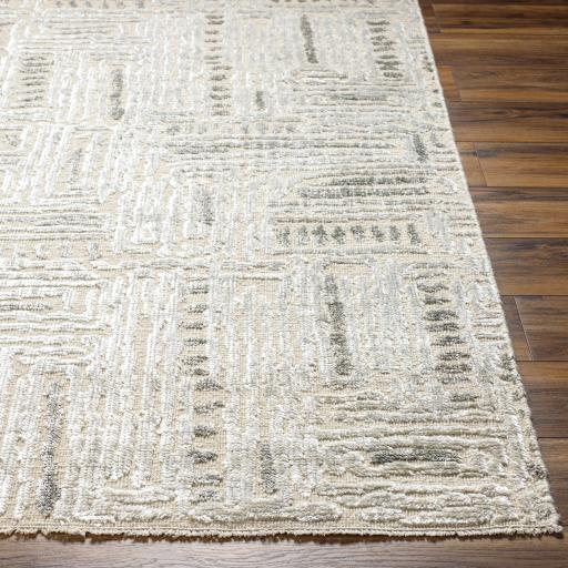 Surya Amina AMA-2303 Beige Light Sage 6' x 9' Rug