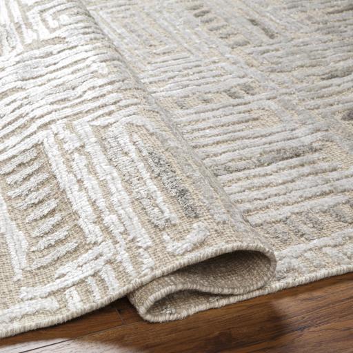 Surya Amina AMA-2303 Beige Light Sage 6' x 9' Rug