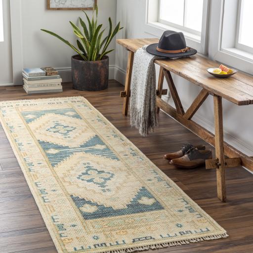 Surya Anadolu AAU-2301 Brown Cream 10' x 14' Rug