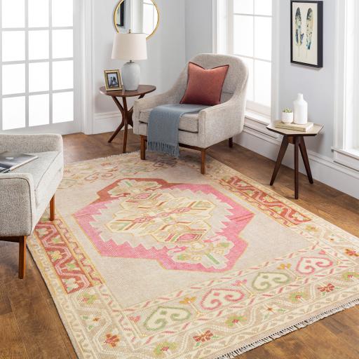 Surya Anadolu AAU-2302 Beige Cream 2'6" x 8' Rug