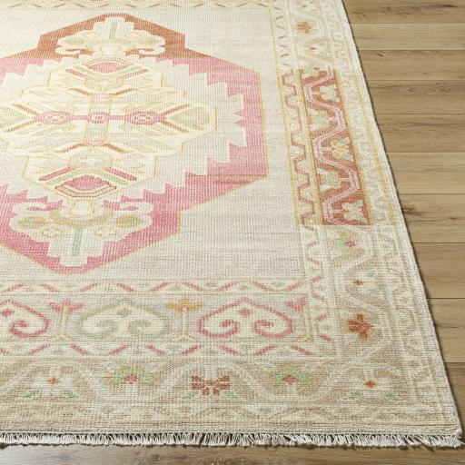 Surya Anadolu AAU-2302 Beige Cream 2'6" x 8' Rug