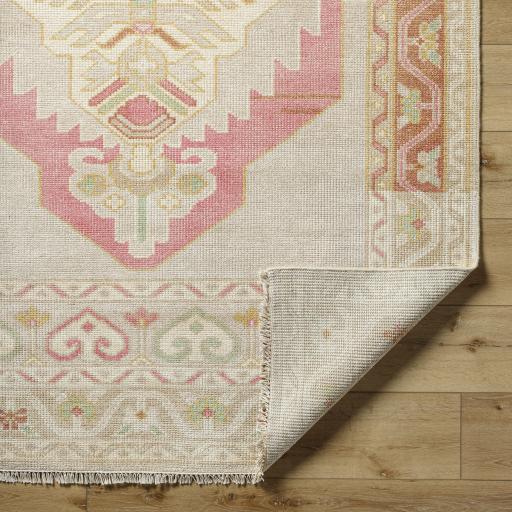 Surya Anadolu AAU-2302 Beige Cream 2'6" x 8' Rug