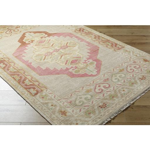 Surya Anadolu AAU-2302 Beige Cream 2'6" x 8' Rug