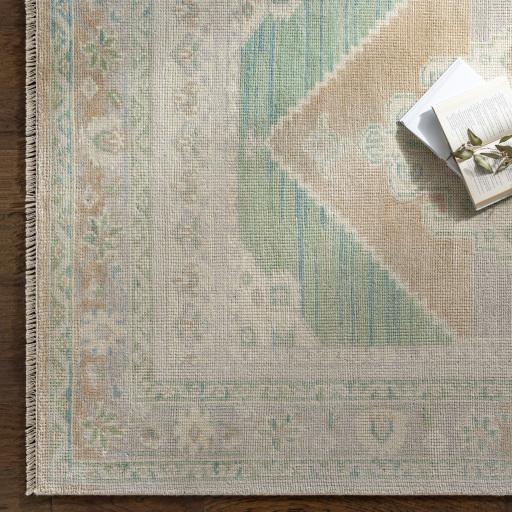 Surya Anadolu AAU-2303 Beige Cream 10' x 14' Rug