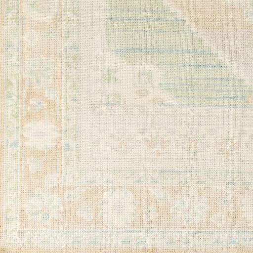 Surya Anadolu AAU-2303 Beige Cream 10' x 14' Rug