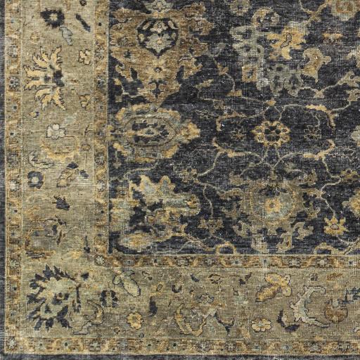 Surya Anatolia ANY-2304 Beige Black 10' x 14' Rug