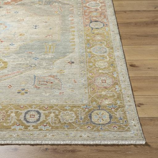 Surya Anatolia ANY-2309 Burgundy Camel 2' x 3' Rug