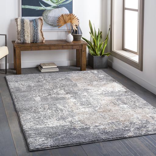 Surya Andorra ARD-2302 Beige Charcoal 2' x 2'11" Rug