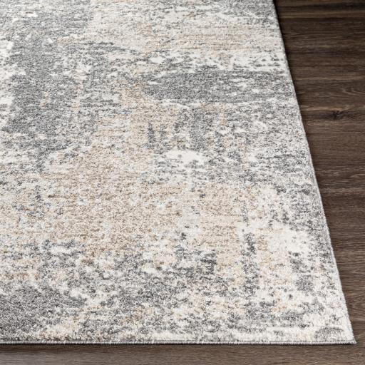 Surya Andorra ARD-2302 Beige Charcoal 2' x 2'11" Rug