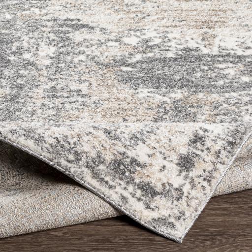 Surya Andorra ARD-2302 Beige Charcoal 2' x 2'11" Rug