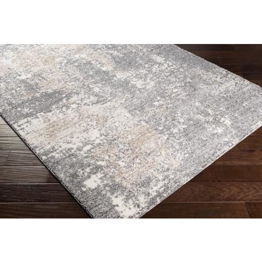 Surya Andorra ARD-2302 Beige Charcoal 2' x 2'11" Rug