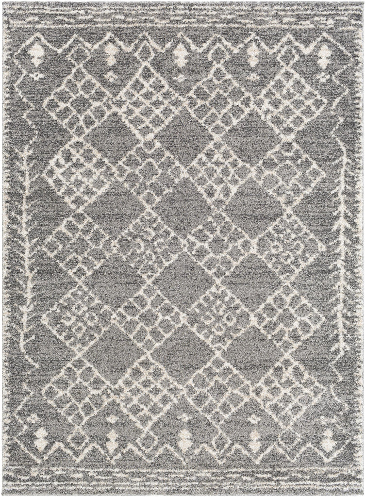 Surya Andorra ARD-2308 2' x 3' Rug