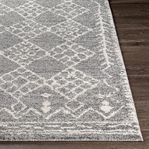 Surya Andorra ARD-2308 Beige Charcoal 2' x 2'11" Rug