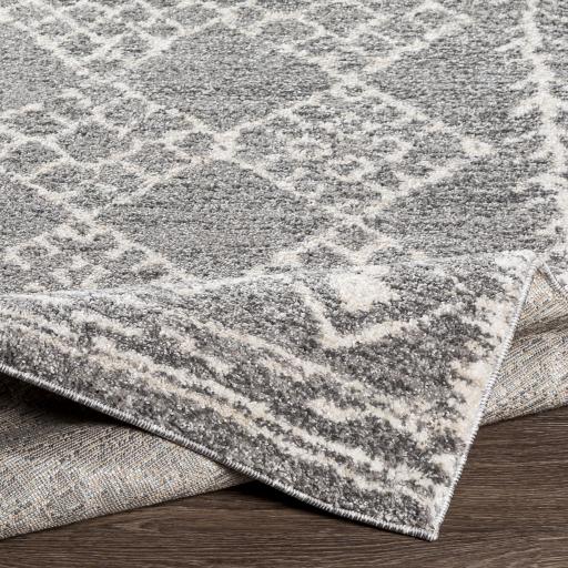 Surya Andorra ARD-2308 Beige Charcoal 2' x 2'11" Rug