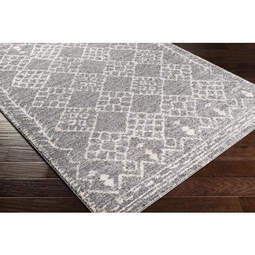 Surya Andorra ARD-2308 Beige Charcoal 2' x 2'11" Rug