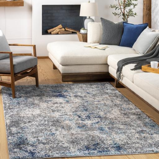 Surya Andorra ARD-2311 Aqua Beige 2' x 2'11" Rug