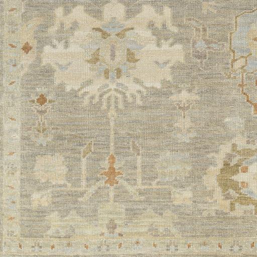 Surya Antalya AAT-2300 Beige Blue 10' x 14' Rug