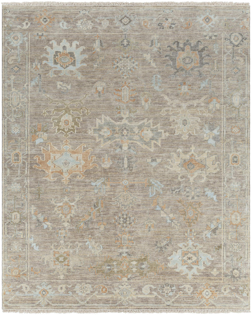 Surya Antalya AAT-2301 Brown Dark Brown 10' x 14' Rug