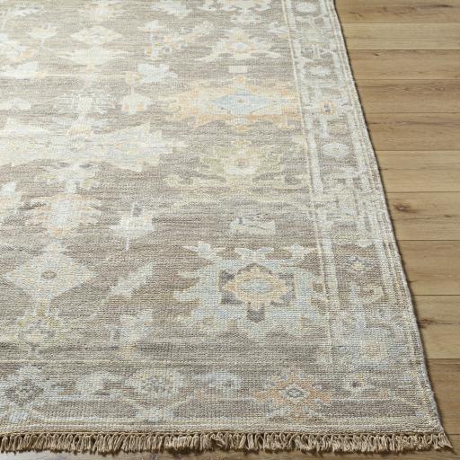 Surya Antalya AAT-2301 Brown Dark Brown 2' x 3' Rug