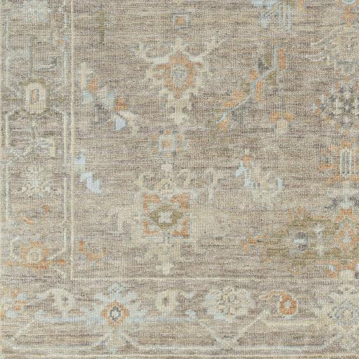 Surya Antalya AAT-2301 Brown Dark Brown 2' x 3' Rug