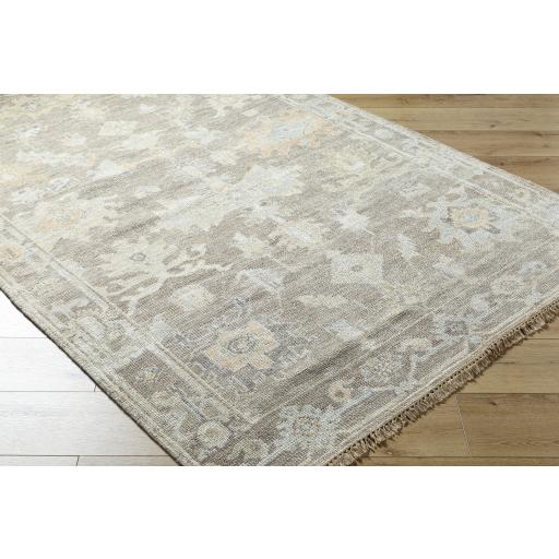 Surya Antalya AAT-2301 Brown Dark Brown 2' x 3' Rug