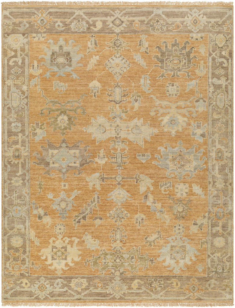 Surya Antalya AAT-2302 Brown Burgundy 2' x 3' Rug