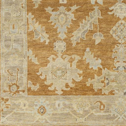 Surya Antalya AAT-2302 Brown Burgundy 2' x 3' Rug