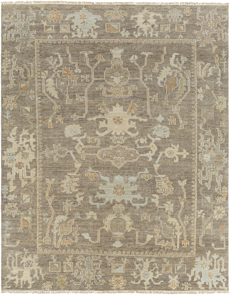 Surya Antalya AAT-2303 Brown Dark Brown 10' x 14' Rug