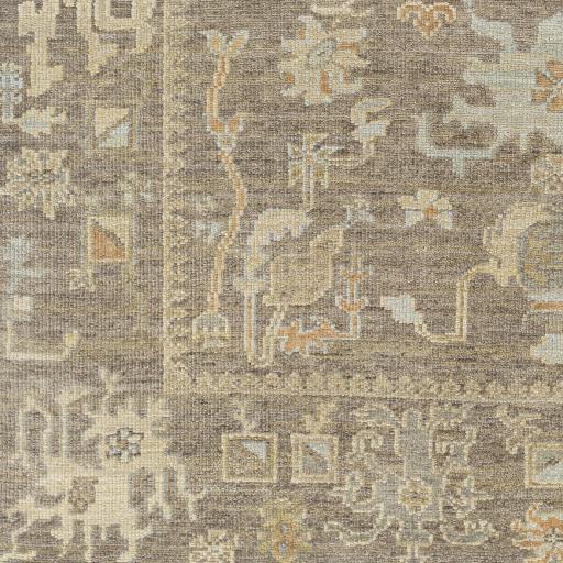 Surya Antalya AAT-2303 Brown Dark Brown 10' x 14' Rug