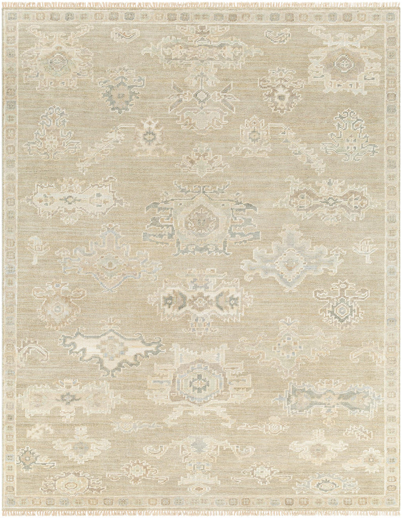 Surya Antalya AAT-2305 Charcoal Gray 10' x 14' Rug