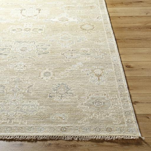 Surya Antalya AAT-2305 Charcoal Gray 10' x 14' Rug