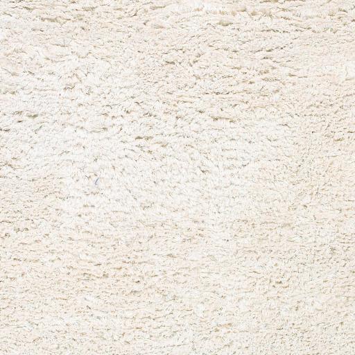 Surya Ashton ASH-1300 Cream 10' x 14' Rug