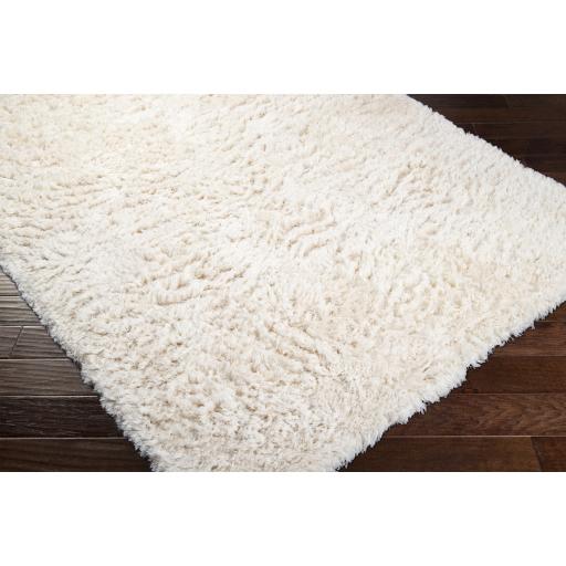 Surya Ashton ASH-1300 Cream 2' x 3' Rug