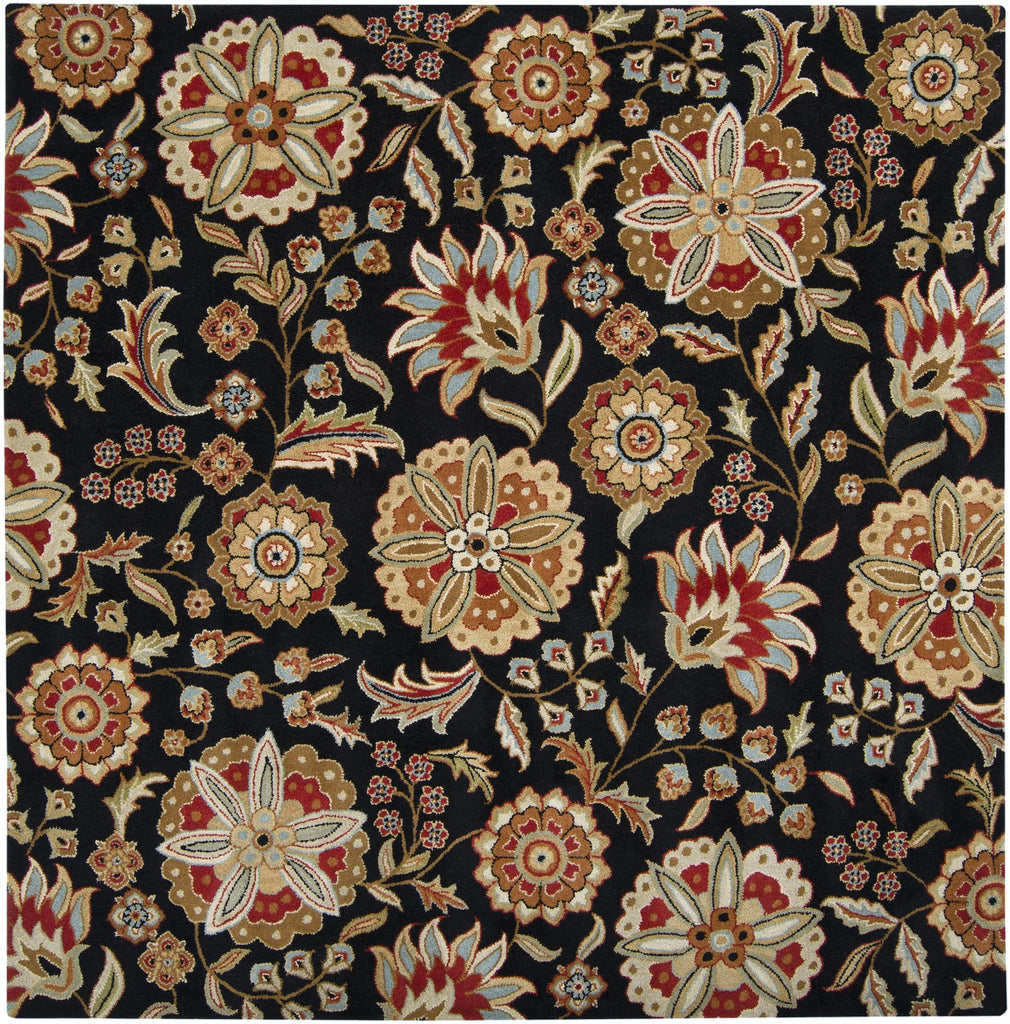 Surya Athena ATH-5017 Black Brown 4' Square Rug