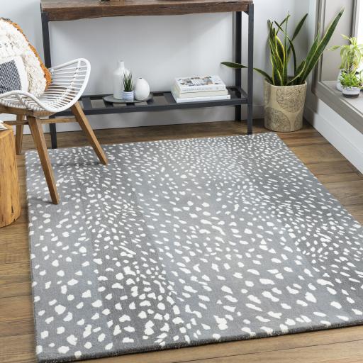 Surya Athena ATH-5163 Cream Light Gray 2' x 3' Rug