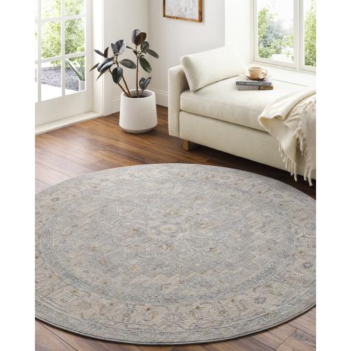 Surya Avant Garde AVT-2301 Brown Charcoal 10' x 13'11" Rug