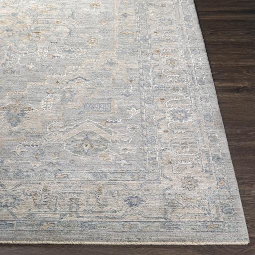 Surya Avant Garde AVT-2301 Brown Charcoal 10' x 13'11" Rug