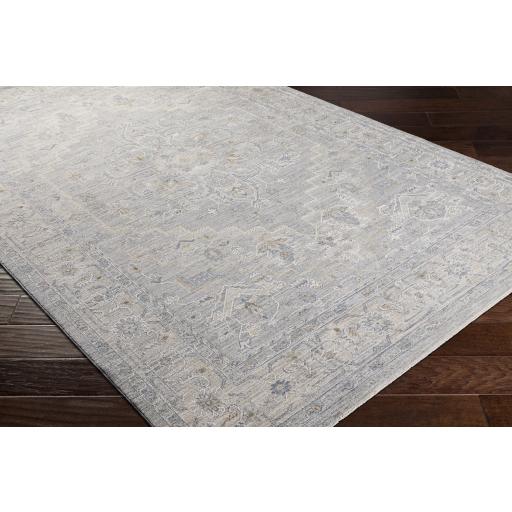 Surya Avant Garde AVT-2301 Brown Charcoal 10' x 13'11" Rug