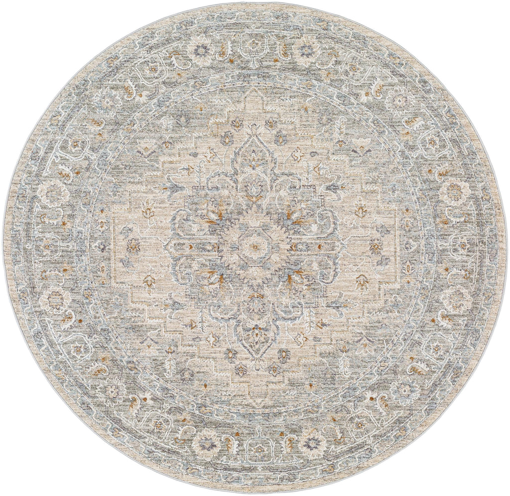 Surya Avant Garde AVT-2302 Brown Charcoal 10' x 13'11" Rug