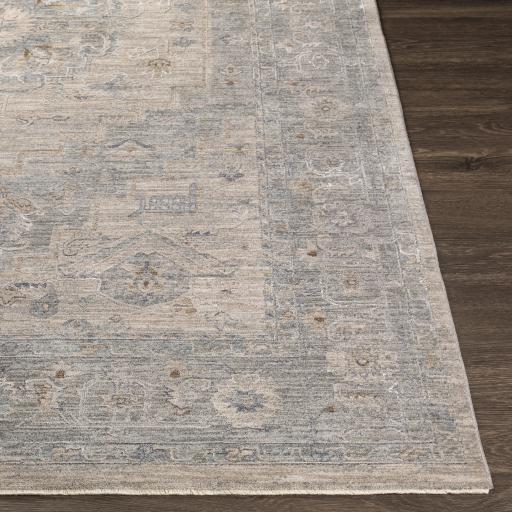 Surya Avant Garde AVT-2302 Brown Charcoal 10' x 13'11" Rug