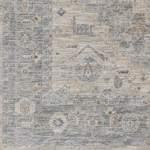 Surya Avant Garde AVT-2302 Brown Charcoal 10' x 13'11" Rug