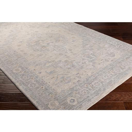 Surya Avant Garde AVT-2302 Brown Charcoal 10' x 13'11" Rug