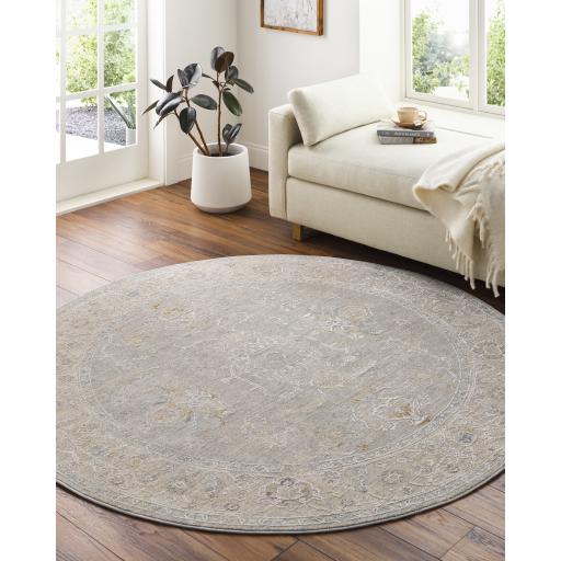 Surya Avant Garde AVT-2304 Brown Charcoal 10' x 13'11" Rug