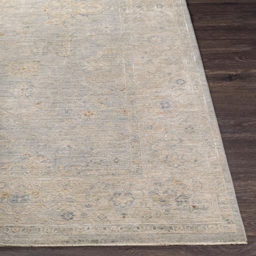 Surya Avant Garde AVT-2304 Brown Charcoal 10' x 13'11" Rug