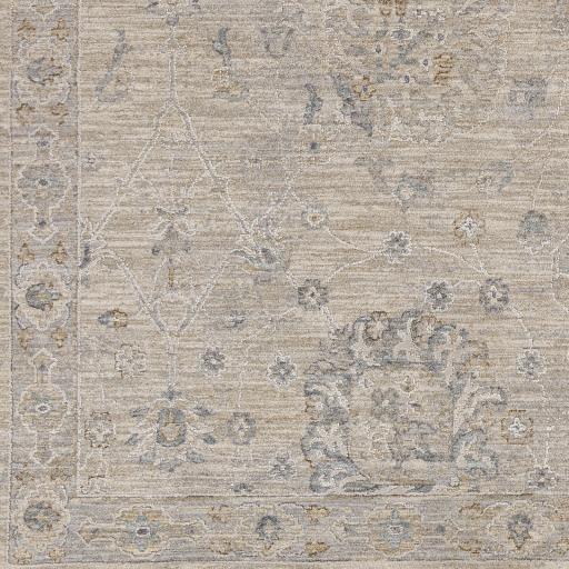 Surya Avant Garde AVT-2307 Brown Charcoal 10' x 13'11" Rug