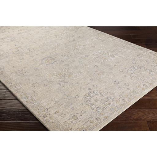 Surya Avant Garde AVT-2307 Brown Charcoal 10' x 13'11" Rug