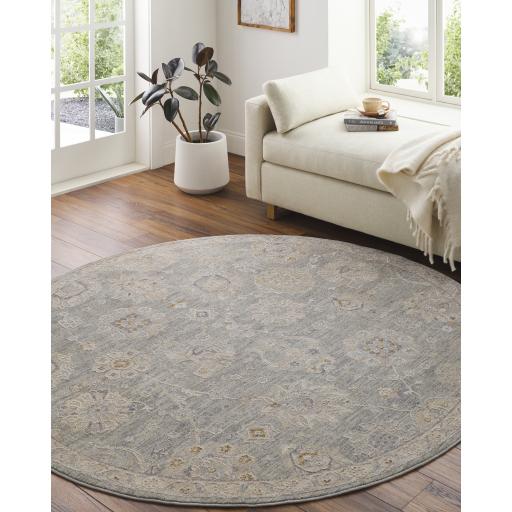 Surya Avant Garde AVT-2335 Brown Denim 10' x 13'11" Rug