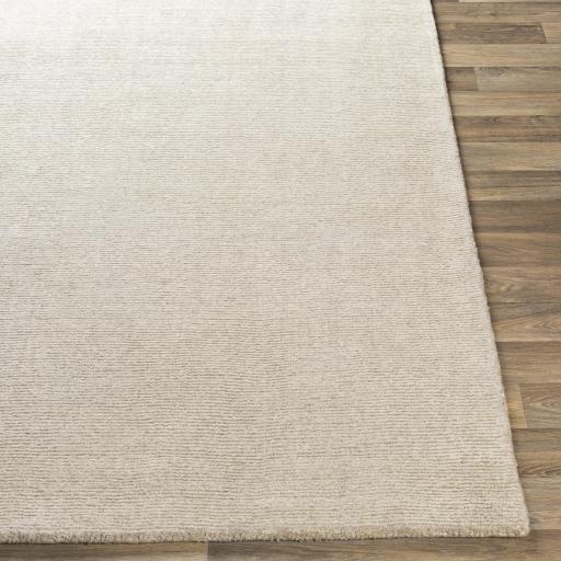 Surya Bari BAR-2300 Ivory 10' x 14' Rug